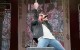 Internete pasirodė Axl'o Rose'o ir paparacio konflikto vaizdo klipas (+ video)