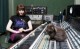 Kate Nash atskleidžia antrojo albumo detales ir pristato naują dainą (+ audio)