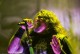 Sunkią ligą įveikęs „Testament“ vokalistas kiekvieną gimtadienį švenčia ypatingai (+ video)