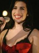 Vagys apiplėšė atostogaujančios A.Winehouse butą