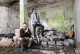 Muzikos festivalis “Granatos Live” skelbia dar daugiau žinomų atlikėjų ir grupių