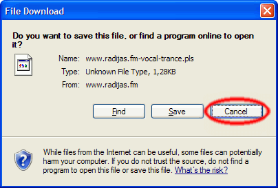 Radijas.fm aprasymas internet explorer